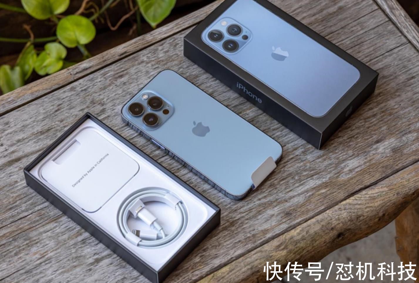 机型|iPhone13系列别乱买，看看哪款最适合你，看准再下手