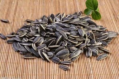 什么蚯蚓粪、柳枝水都不如“万能肥”,啥花都能养,1-2勺就管事