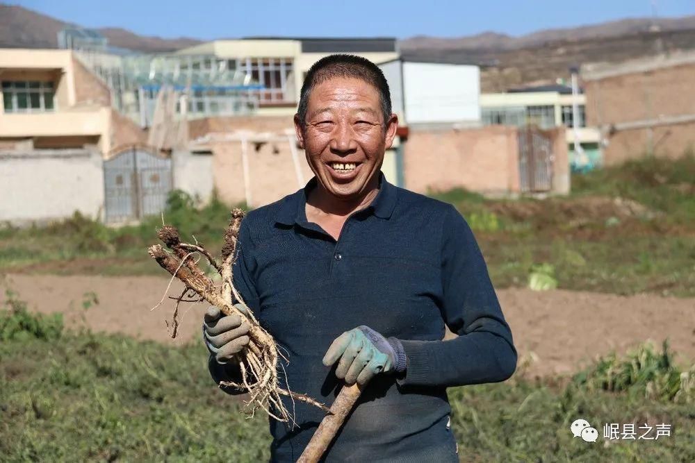 岷县的春夏秋冬，看不够！