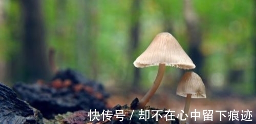 高调|不愿意高调，被忽视，偷偷奋斗的星座，隐忍坚持，春暖花开