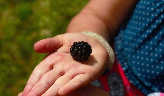 猪血|养肝“冠军”已发现，不是胡萝卜，平时放肆吃，肝硬化知难而退