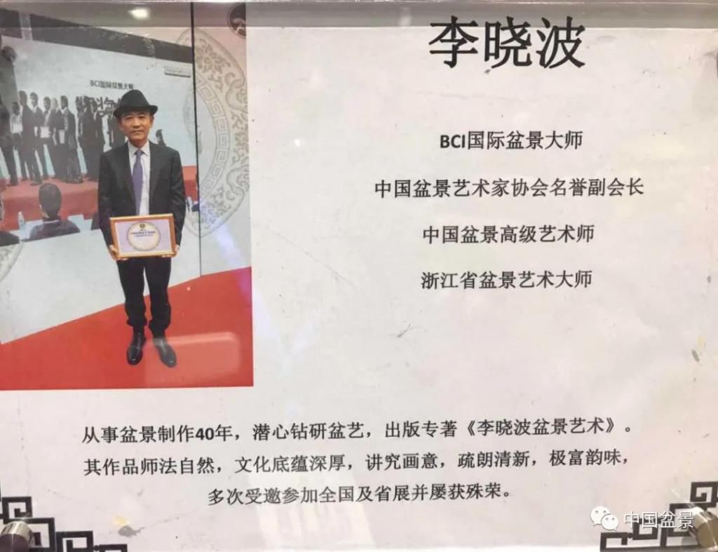 李晓波月波园内盆景美如画