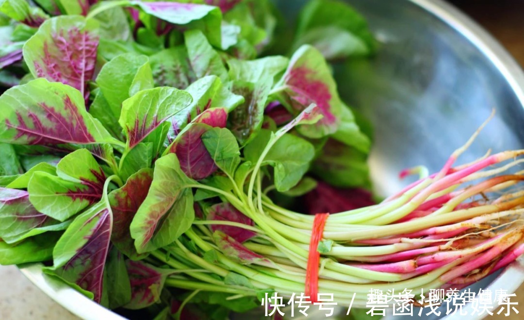 红苋菜|一两苋菜一两金!4种吃法解毒减脂、补钙益脑,胜过诸多大补药!