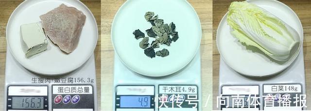 蛋白质类|不节食不运动能减肥吗?我亲自测试了5天,测完眼泪掉下来