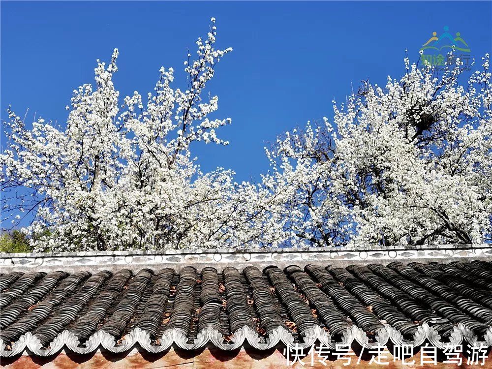 神仙包|春天第一站就去这里！醉春天之川西花海、雪山、冰湖七天之旅