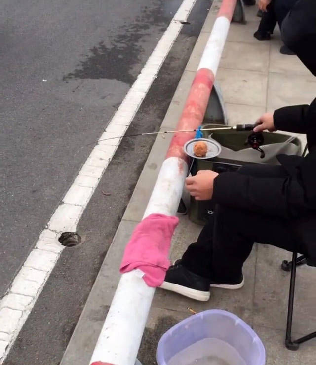 城里的钓鱼人有多疯狂,桥上排水孔里钓鱼,最多一天钓5斤