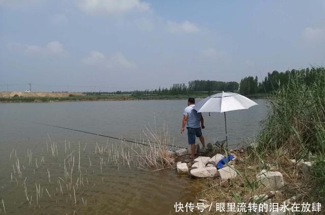 鲤鱼|钓鱼只是玩玩,错!河沟里的鲫鱼、鲤鱼也能钓干净!