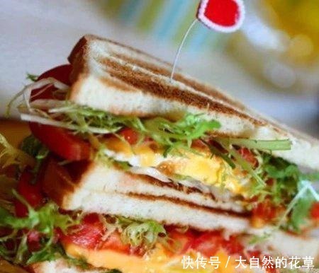 15分钟就能搞定的营养快手早餐!早餐天天不重样,快快学起来!