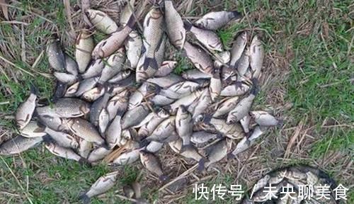 冬季钓鱼,这几种天气鱼很难钓!再高明的技术和饵料都没用!