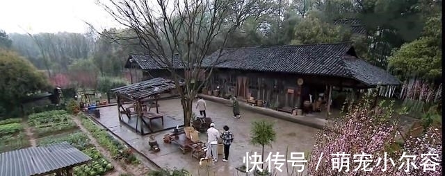 蓋菜|《向往5》開播，黃磊做第一餐，4人3道菜太下飯，吃的一粒米不剩