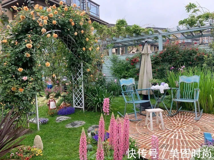 满园|2年前,买了一栋带院子的房子,在高楼喧嚣中建一个“梦幻花园”