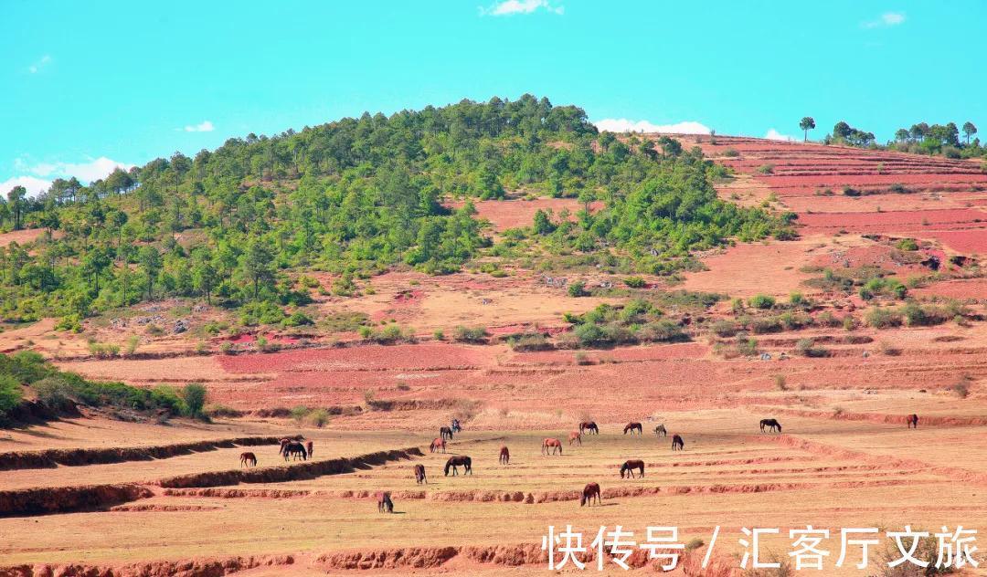 漂流|一个四季如春，一个山海相依，国内这两个避寒胜地又美又舒适！