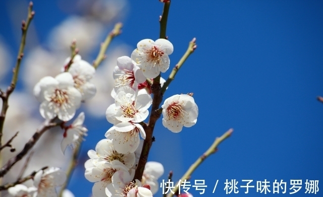 旧爱|下半年,一见如故,旧爱归来,缱绻思念,爱情和谐,潇洒转身