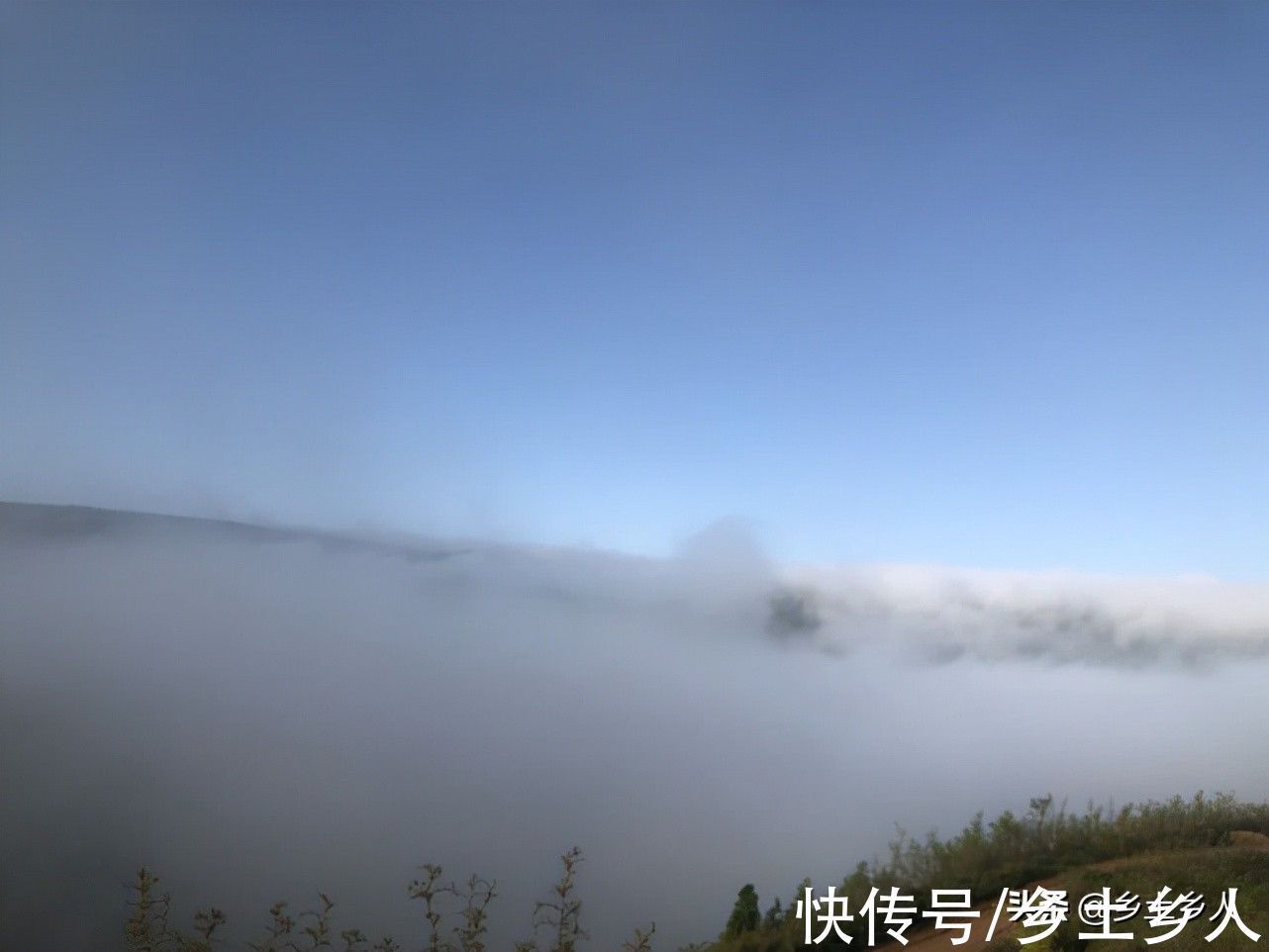 古人#古人说:“藏象”合一,万物皆成,是啥意思?藏和象指的是啥?