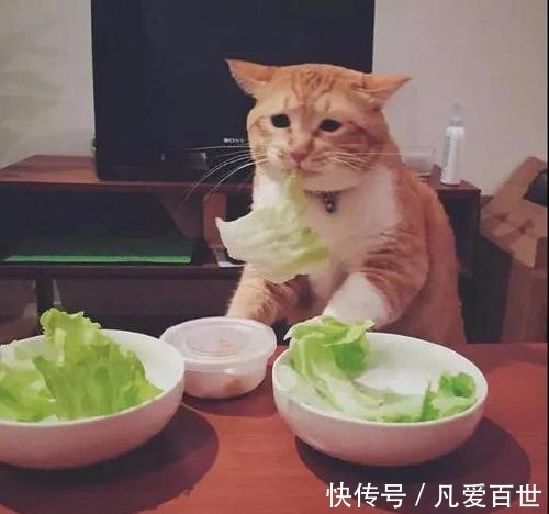 |搞笑笑话，动图：杆一沉，就知道是条大鱼！