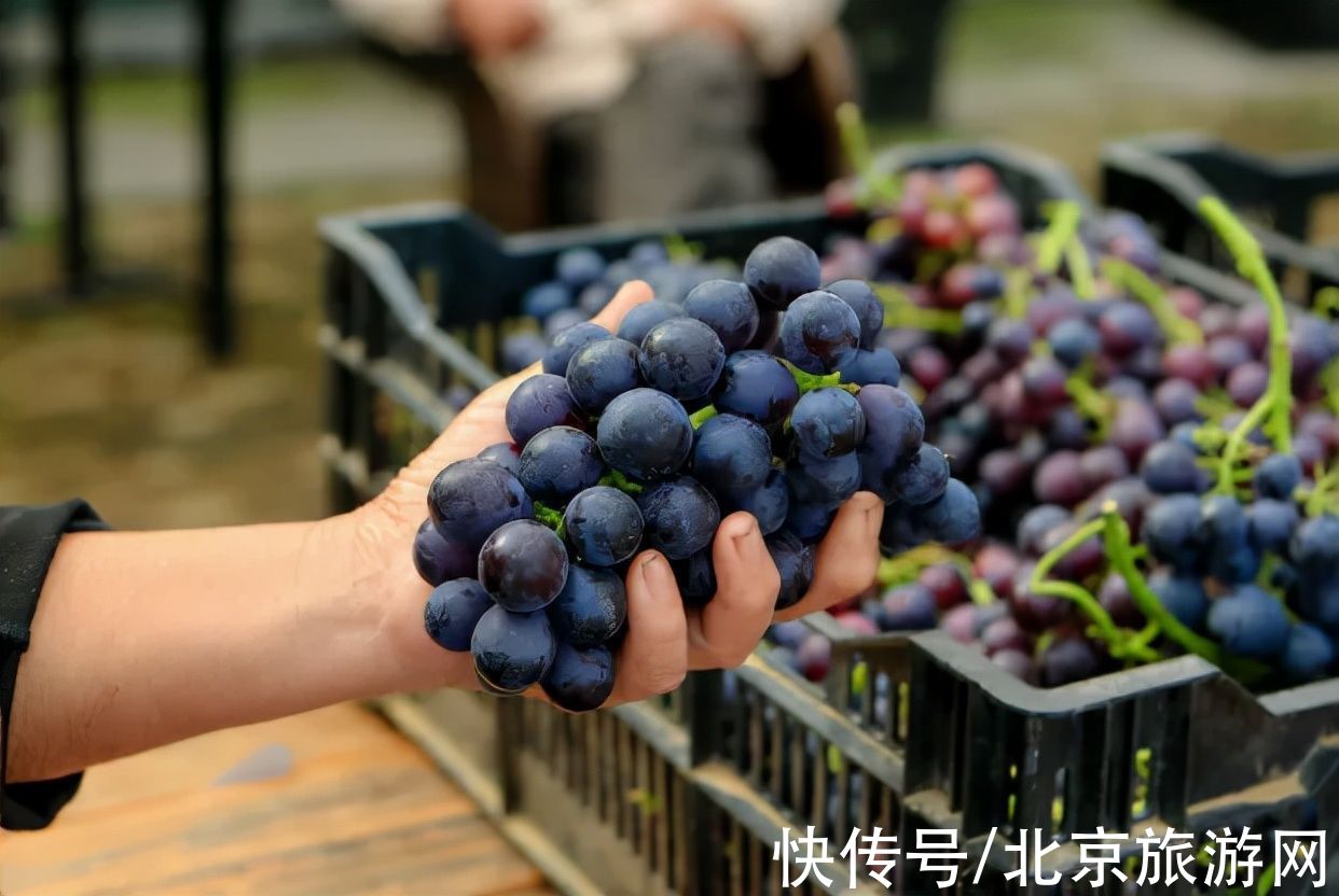 龙庆峡|美丽延庆， 金秋骑游之旅