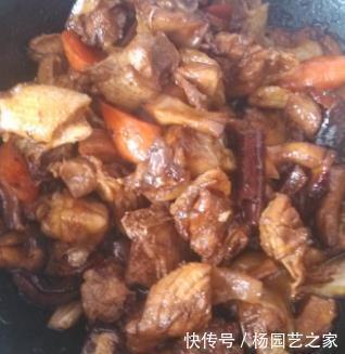 不管炖啥肉,记得加点它,半小时就炖熟,汤汁香浓,肉质软烂