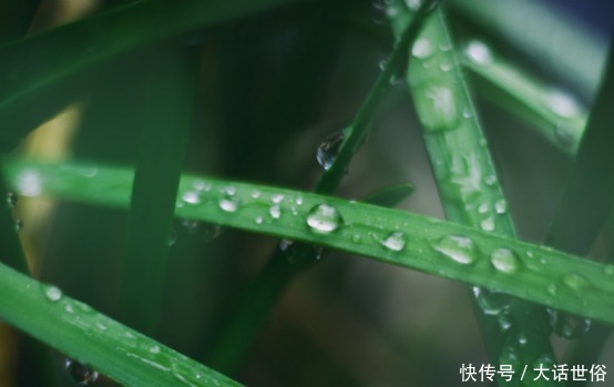 做人|做人要懂三个人,不能欠,欠了会影响一辈子