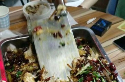 请吃|闺蜜请吃烤鱼,中途吃出一把“菜刀”,老板的解释让我们喜笑颜开