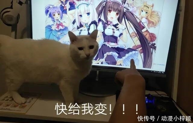 现实|二次元VS三次元,原来二次元女孩都是从现实中变的