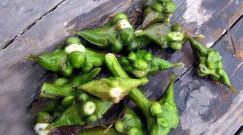 女性不想满脸皱纹，可以多吃3种食物，紧致肌肤，增加皮肤弹性！