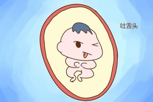 宝宝|四维总拍不到胎儿正脸?不想来回折腾,孕妈要提前做好这几点准备