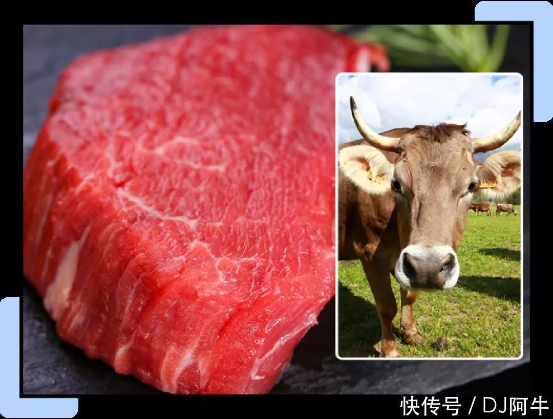 又被抖音骗了这12个爆款难用哭,求你千万别买