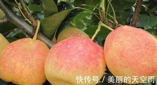 树莓|聪明人喜欢吃3种食物,排毒养颜、延缓衰老,身体棒棒哒!