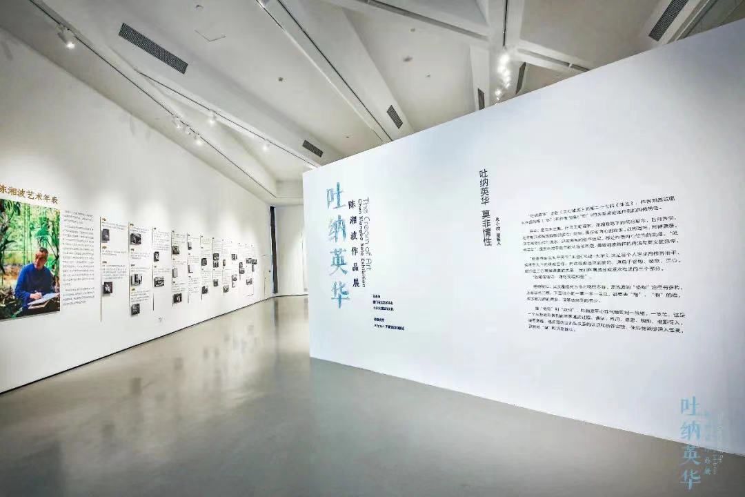 宝龙艺术中心#陈湘波作品展在厦门宝龙艺术中心开幕