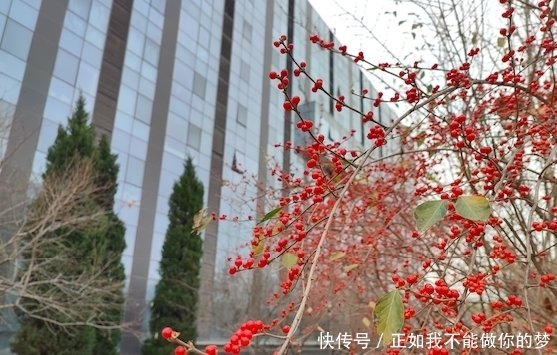 Note9|实测Redmi Note9 Pro:性能均衡的超强实力派