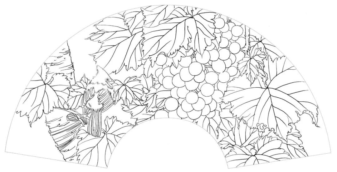 美术家协会@《葡萄红雀》工笔绘制步骤