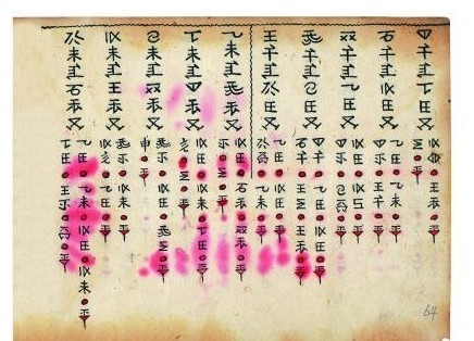 光绪版《六十龙备要》水文抄本