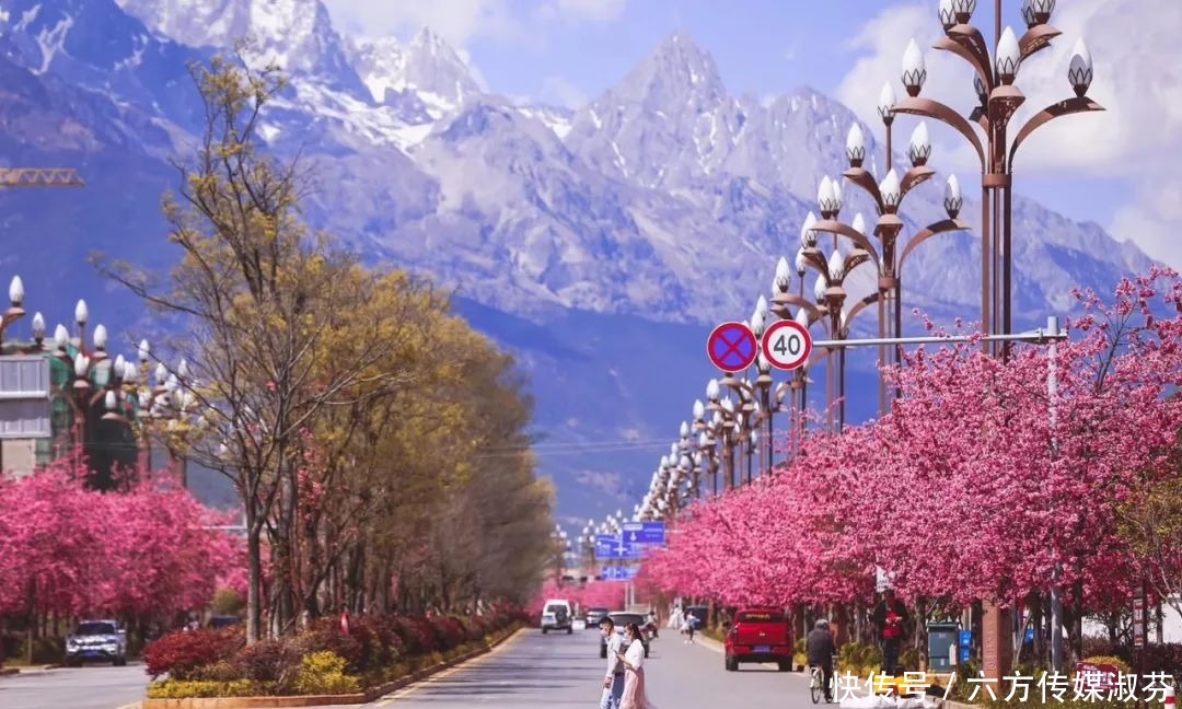 美好的愿景给予丽江的春天,融化掉你心中累积的皑皑白雪