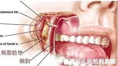 嘴角 这5个医美项目虽然很火,但很多医生不建议做!丨科普篇