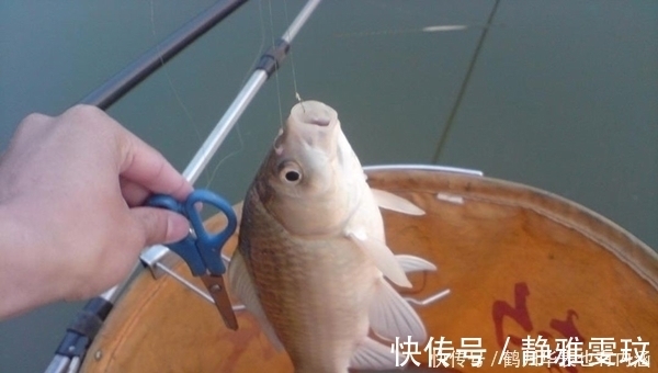 钓位|窝点中有鱼就是不咬钩,先不要换钓位,给你几个建议,很快有变化