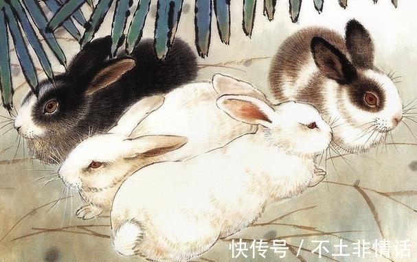 上涨|本月下旬开始,三大生肖运势升温,财富上涨,喜事成双