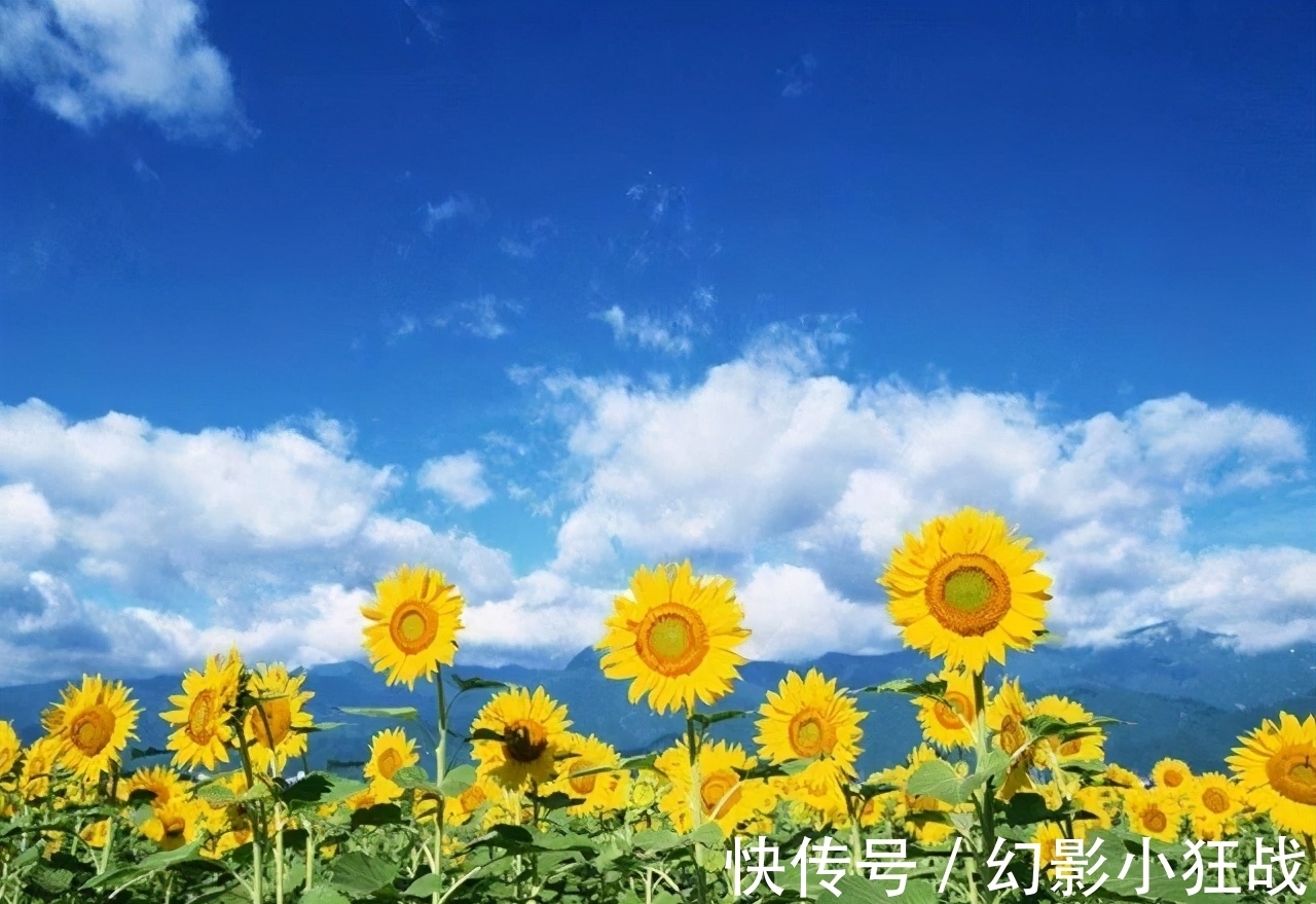 男人|男人爱一个女人到极致,通常会有几个生理反应,特别明显