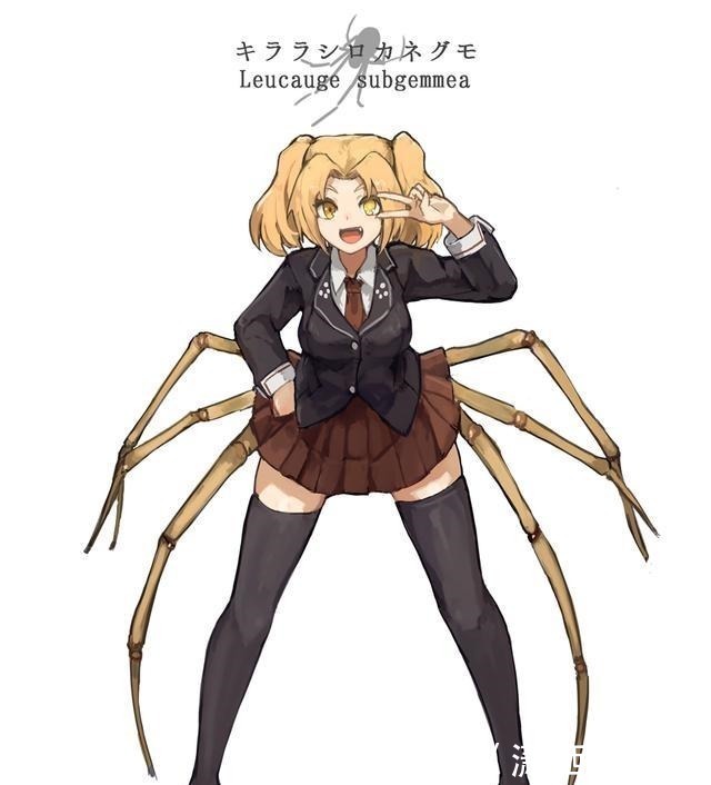 美少女|蜘蛛也能变成美少女这位画师口味太硬核,但仔细一看还挺可爱