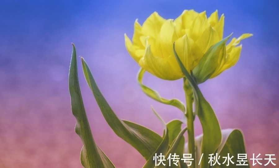 逆袭|7月底，桃花逆袭，难舍旧爱，运势好转，3生肖心心念念，破镜重圆