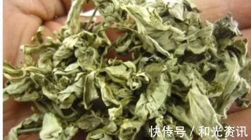 艾草煮鸡蛋|一把艾叶二两酒,腰腿疼痛绕道走,颈椎病、关节炎、腰腿疼也管用