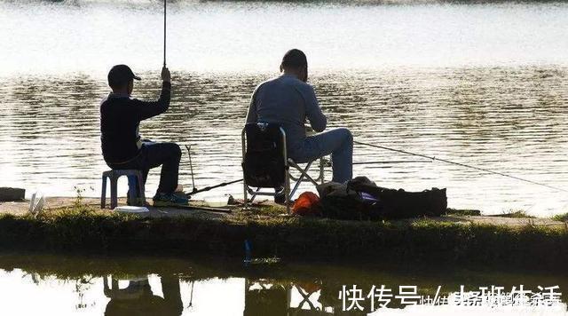 水域|别再抢老钓位了,“秋老虎”鱼儿都藏在这,选这垂钓事半功倍