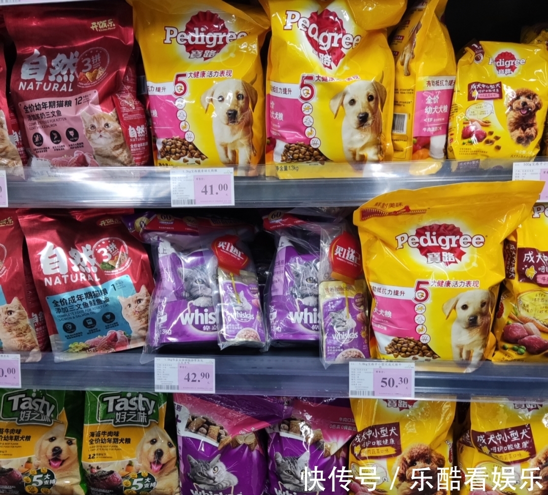 塔拉|互联网大厂争抢宠物，因为宠物是内容，也是赛道