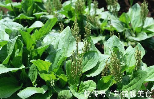 甜食|糖尿病的禍根是甜食？錯！它才是“幕后真兇”，管不住嘴遲早住院