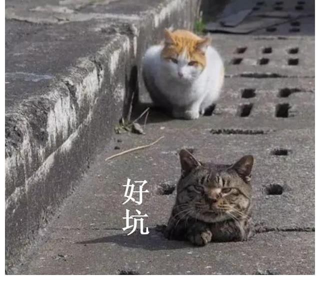 减肥|咖啡减肥法，局部减肥法，这2个减肥误区，你中招了吗？