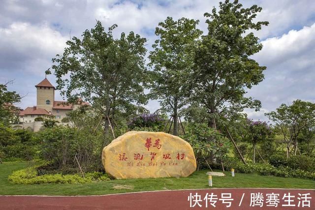 5g|中兴、华为并非先例!日本东芝也曾同病相怜,网友:刷新认知