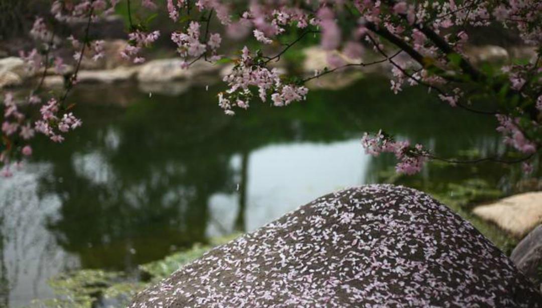 上片!辛弃疾一首高水平之作,通篇美得令人惊艳,值得我们一读再读!