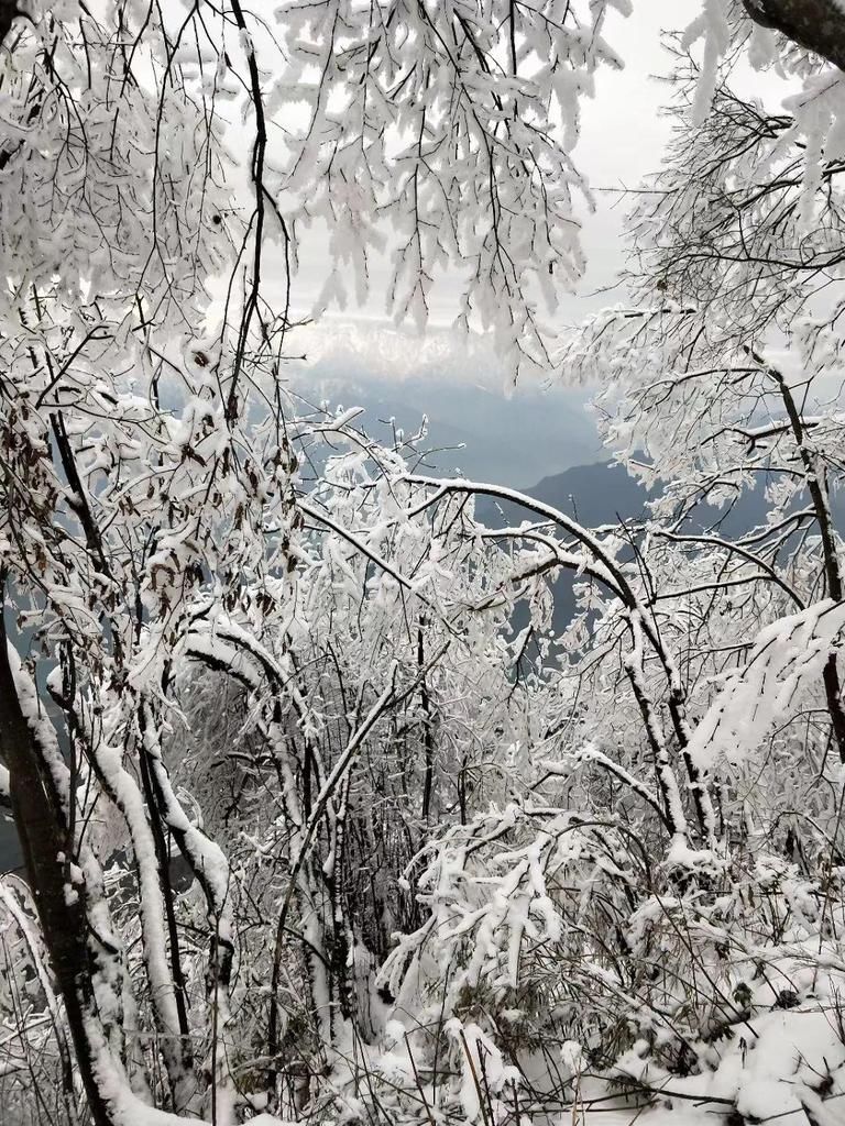 地方|汶川下雪了！这些地方，你最想去哪个？