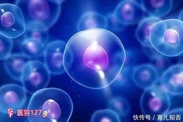 医羽:糖尿病新式治疗手段或将彻底治愈糖尿病!