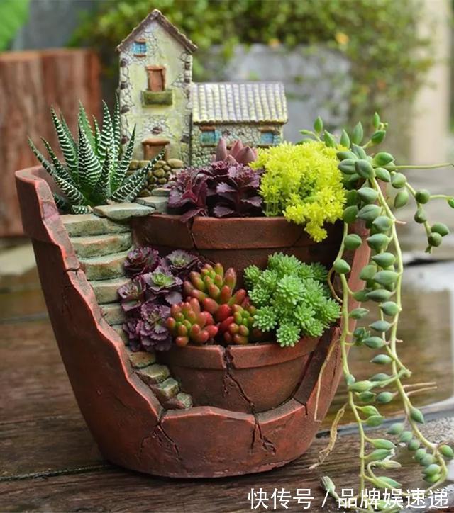 多肉拼盘玩一次就上瘾，这些创意拼法，你一定喜欢