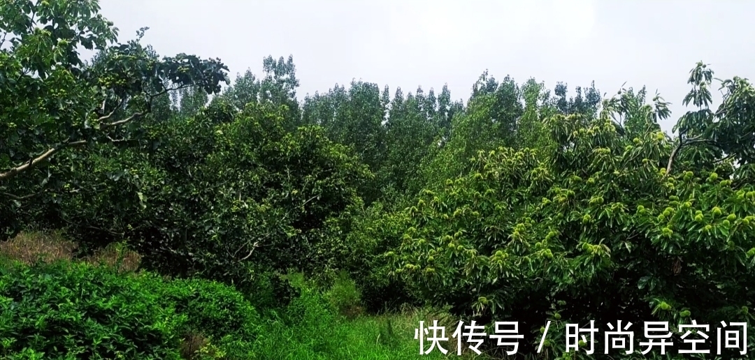 色彩|香山后，魅力色彩的小山村